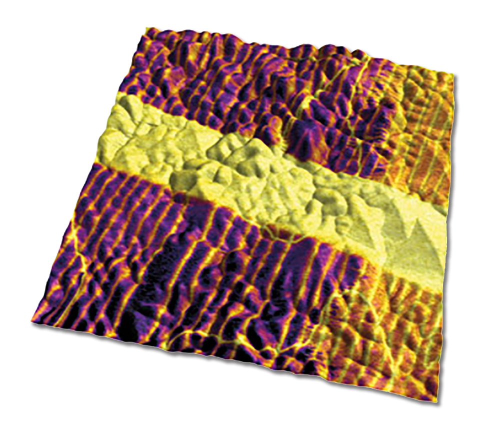 チタン酸鉛膜のAFM形状に垂直PFM振幅を重ね合わせたもの, 5 µmスキャン。イメージはMFP-3D AFM/SPMで取得。イメージ提供：A. Gruverman氏 および D. Wu氏 (UNL)。サンプル提供：H. Funakubo氏。